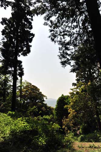 Zg隬